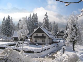Ferienwohnung Bohinjsko jezero Apartmaji ALP Bild 2