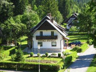 Ferienwohnung Bohinjsko jezero Apartmaji ALP Bild 1